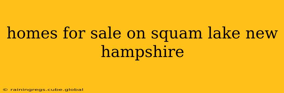 homes for sale on squam lake new hampshire