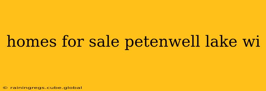 homes for sale petenwell lake wi