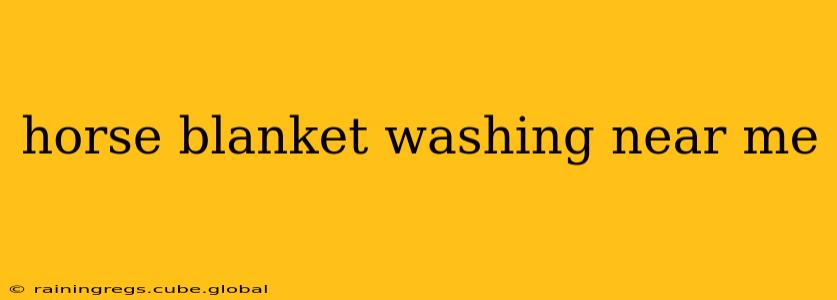 horse blanket washing near me