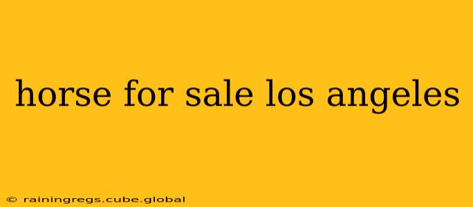 horse for sale los angeles