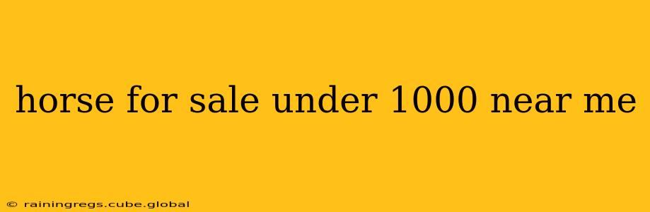horse for sale under 1000 near me