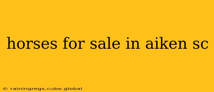 horses for sale in aiken sc