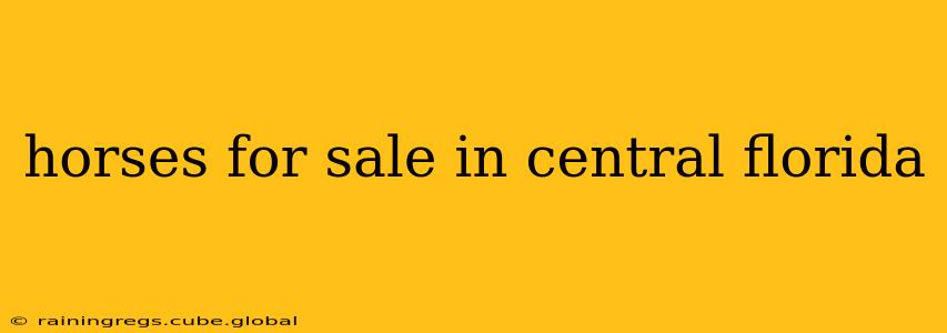 horses for sale in central florida