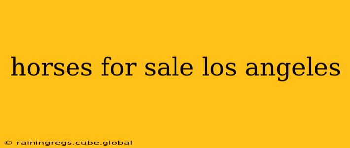 horses for sale los angeles