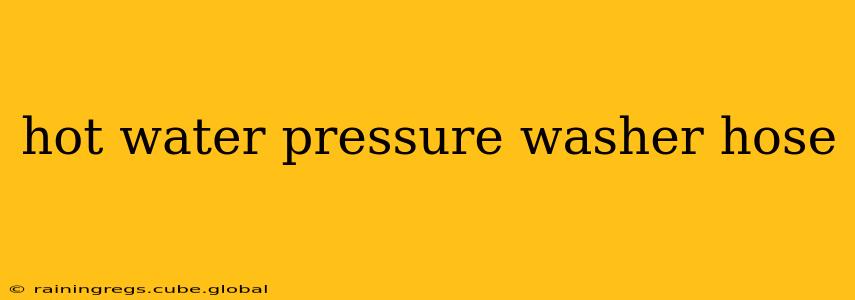 hot water pressure washer hose