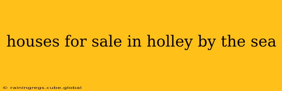 houses for sale in holley by the sea