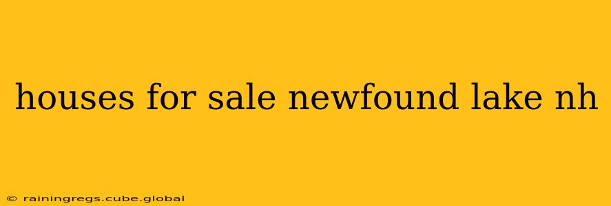 houses for sale newfound lake nh