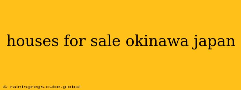 houses for sale okinawa japan