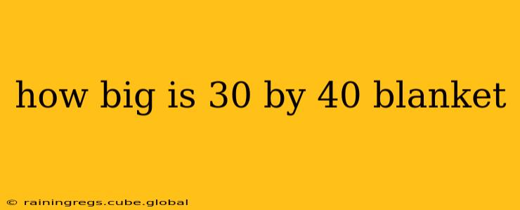 how big is 30 by 40 blanket