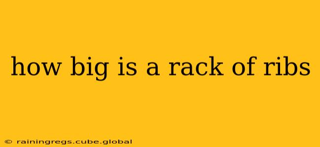 how big is a rack of ribs
