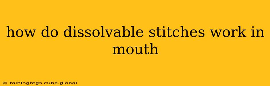 how do dissolvable stitches work in mouth