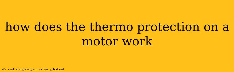 how does the thermo protection on a motor work
