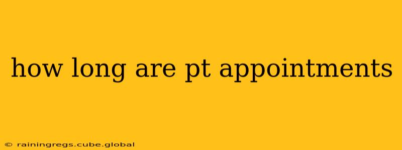 how long are pt appointments