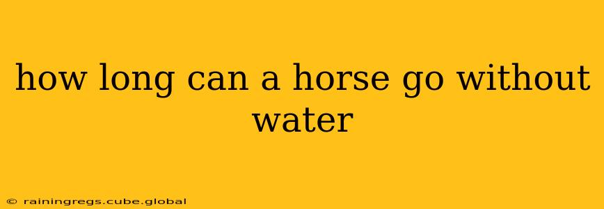 how long can a horse go without water