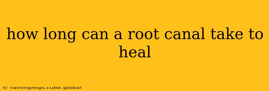 how long can a root canal take to heal