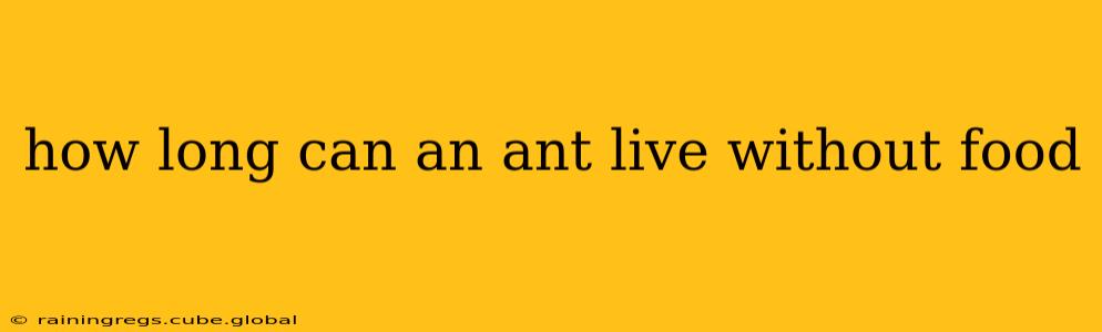 how long can an ant live without food