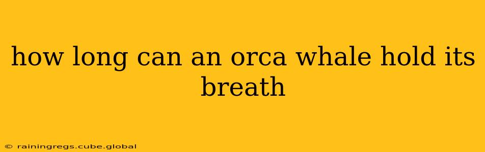 how long can an orca whale hold its breath