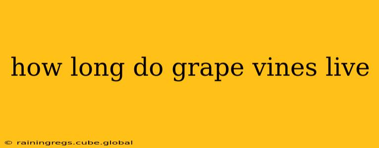 how long do grape vines live