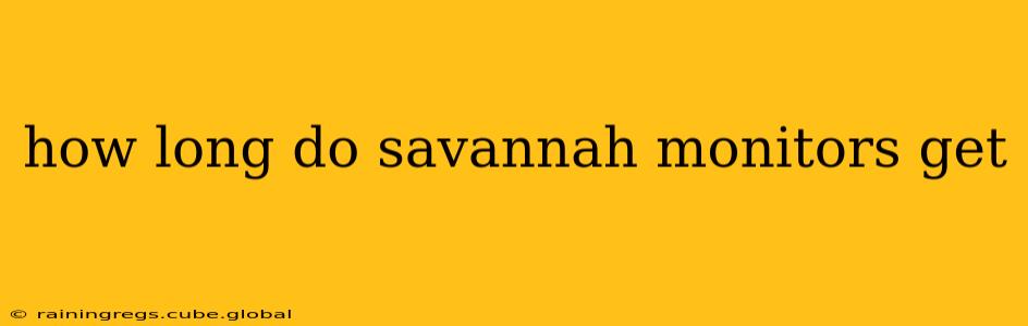 how long do savannah monitors get