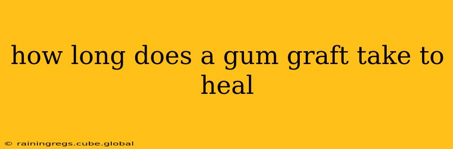 how long does a gum graft take to heal