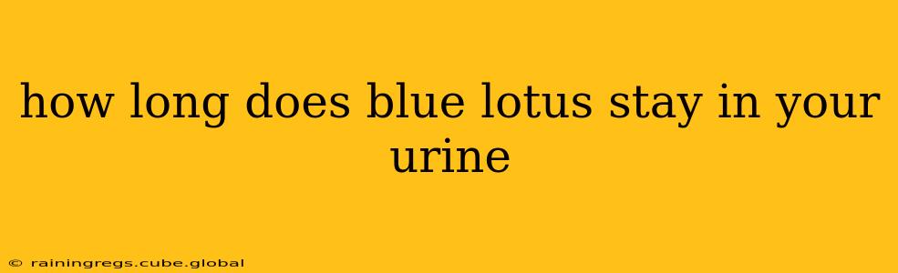 how long does blue lotus stay in your urine