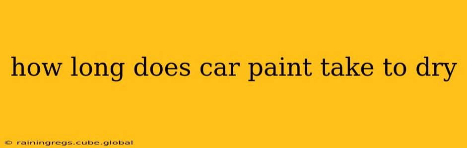 how long does car paint take to dry
