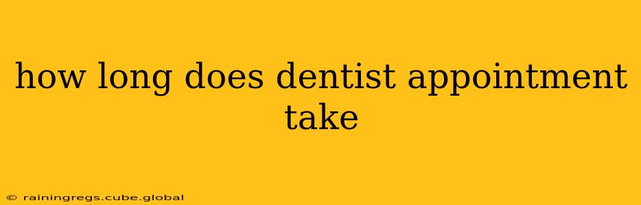 how long does dentist appointment take