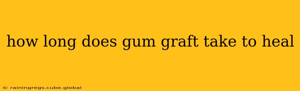 how long does gum graft take to heal