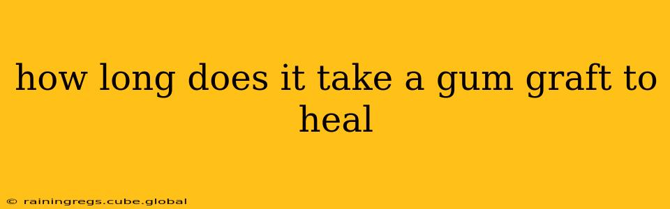 how long does it take a gum graft to heal