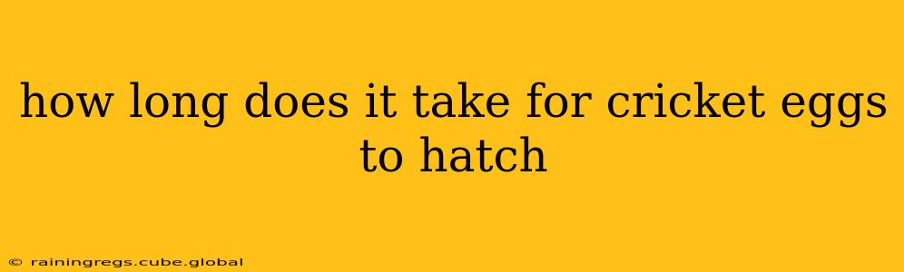 how long does it take for cricket eggs to hatch