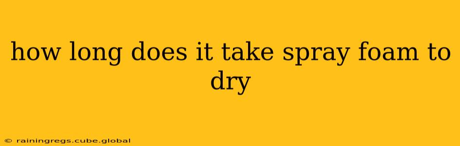 how long does it take spray foam to dry