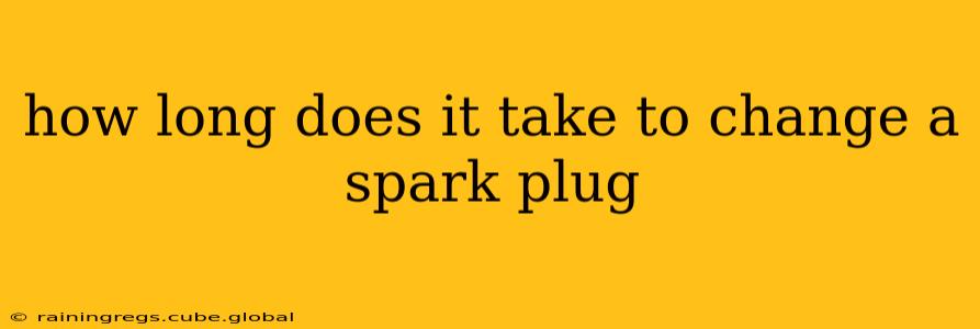 how long does it take to change a spark plug