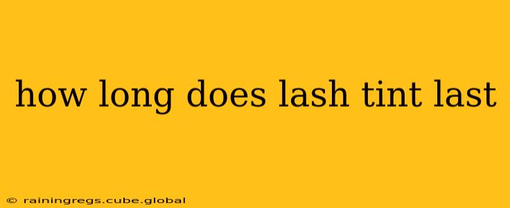 how long does lash tint last