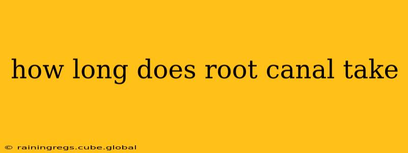 how long does root canal take