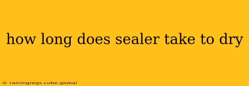 how long does sealer take to dry