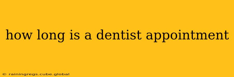 how long is a dentist appointment