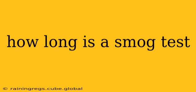 how long is a smog test
