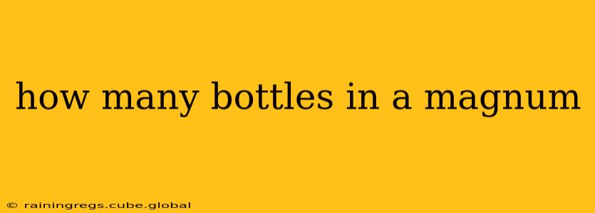 how many bottles in a magnum