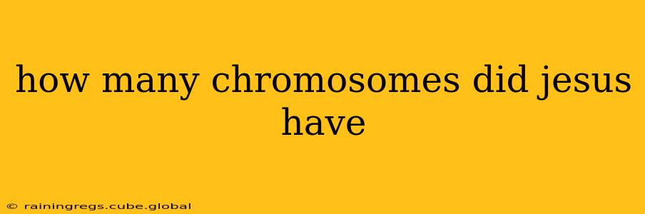 how many chromosomes did jesus have
