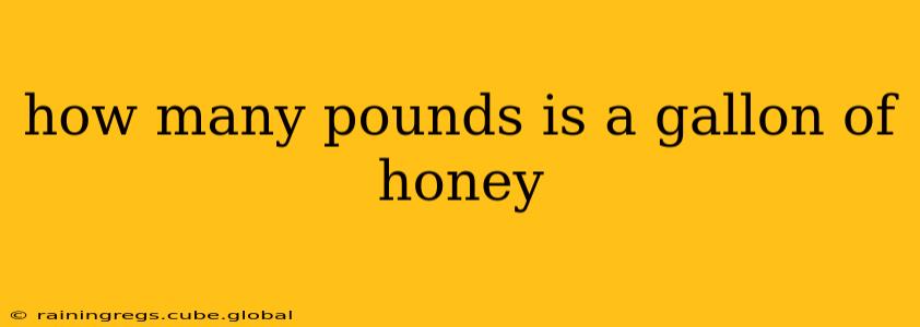 how many pounds is a gallon of honey