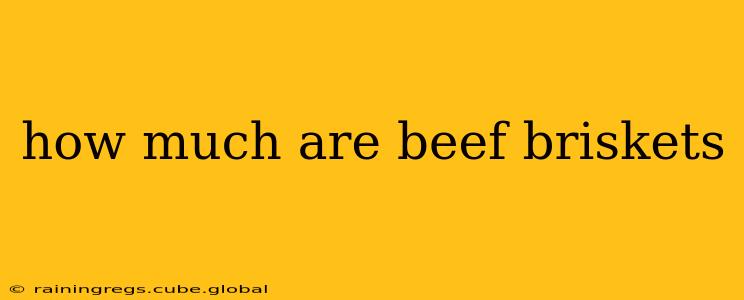 how much are beef briskets