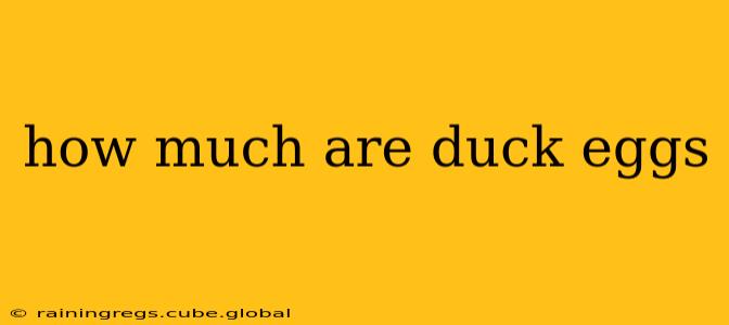 how much are duck eggs