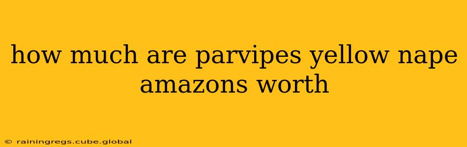how much are parvipes yellow nape amazons worth