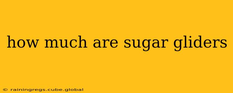 how much are sugar gliders
