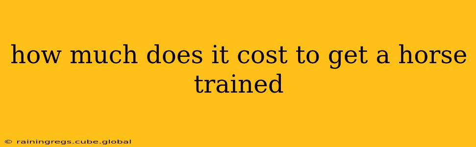 how much does it cost to get a horse trained