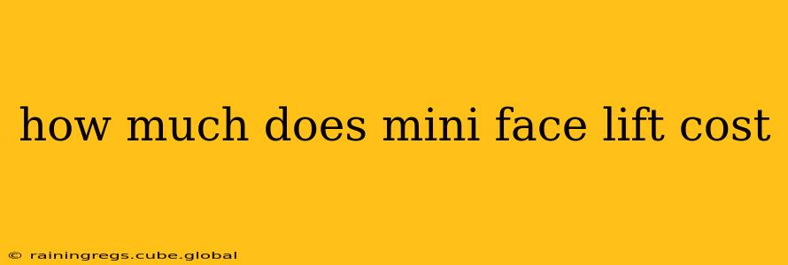 how much does mini face lift cost