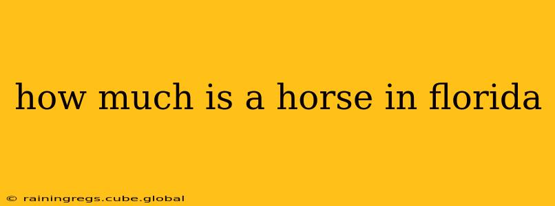 how much is a horse in florida