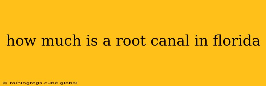 how much is a root canal in florida