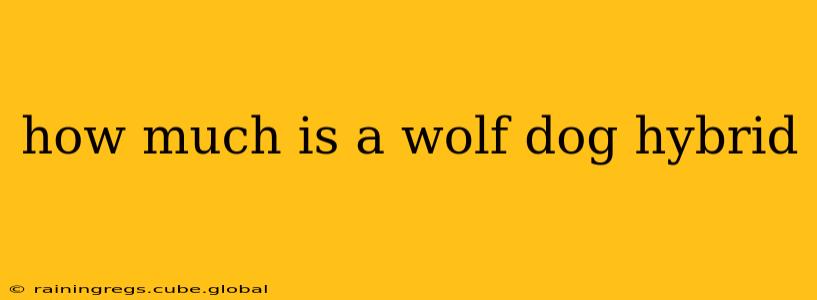 how much is a wolf dog hybrid