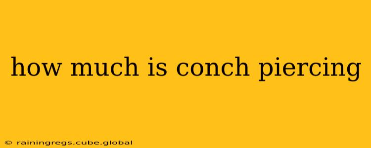 how much is conch piercing
